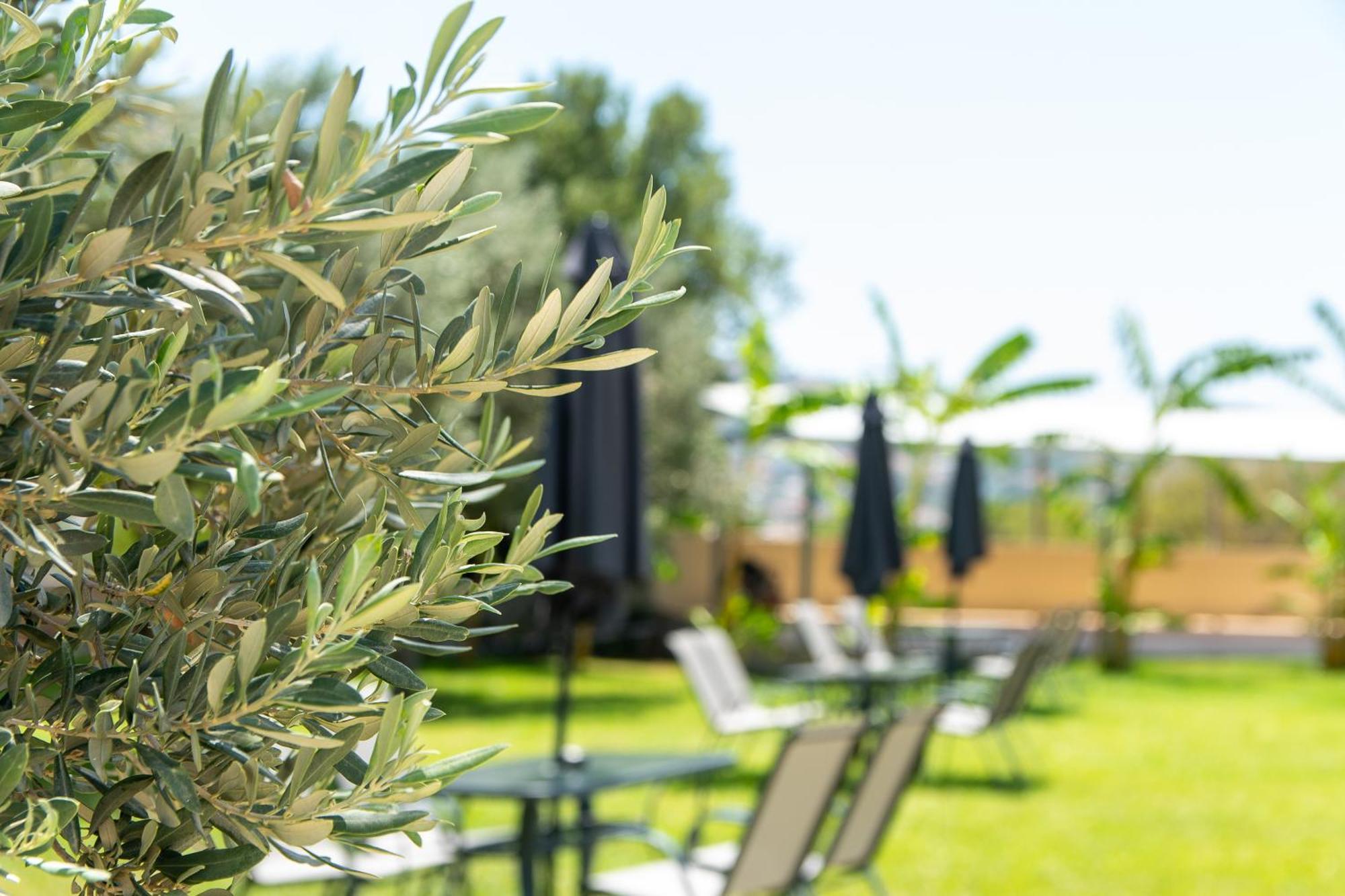 Airscape Hotel Free Shuttle From Athen'S Airport 아르테미다 외부 사진